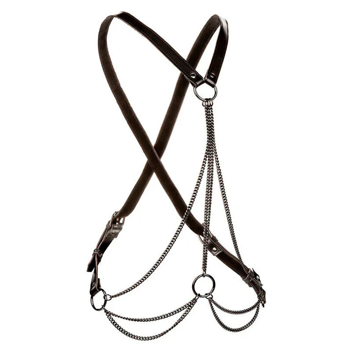 CALEXOTICS - EUPHORIA ARNÉS DE MÚLTIPLES CADENAS PREMIUM - Nuvica