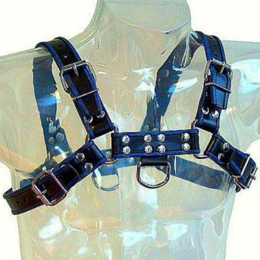 LEATHER BODY - ARNÉS CUERO AZUL Y NEGRO CHEST BULLDOG - Nuvica