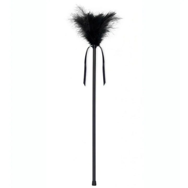 SECRETPLAY - PLUMERO PLUMAS NEGRO 40 CM - Nuvica