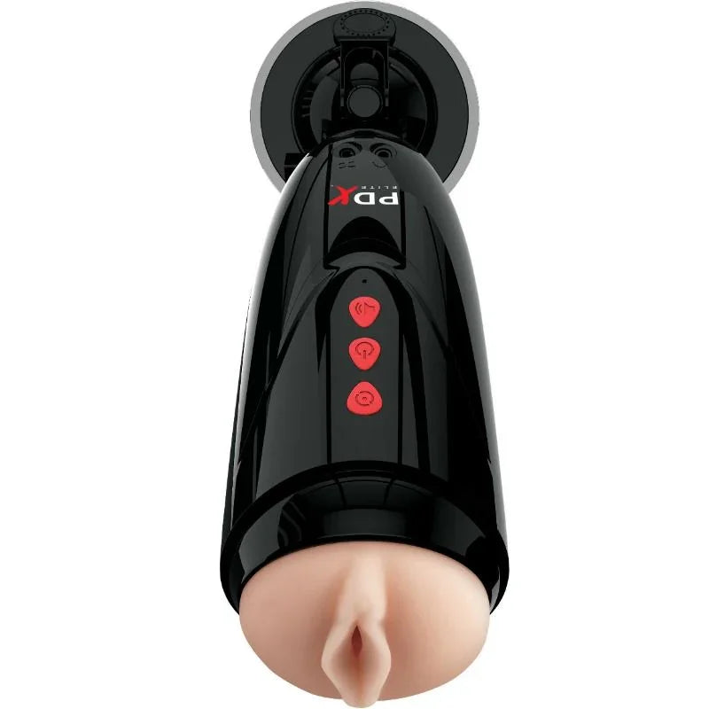 PDX ELITE - DIRTY TALK STARTER STROKER MASTURBADOR VAGINA - Nuvica