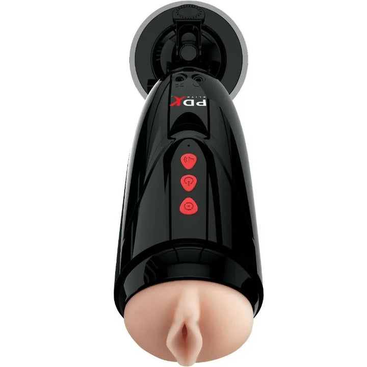PDX ELITE - DIRTY TALK STARTER STROKER MASTURBADOR VAGINA - Nuvica