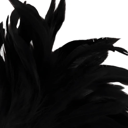 DARKNESS - PLUMA ESTIMULADORA NEGRO LUX - Nuvica