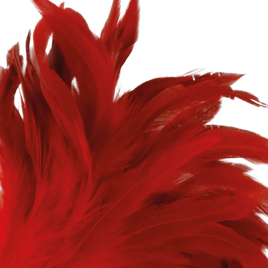 DARKNESS - PLUMA ESTIMULADORA ROJO 24CM - Nuvica