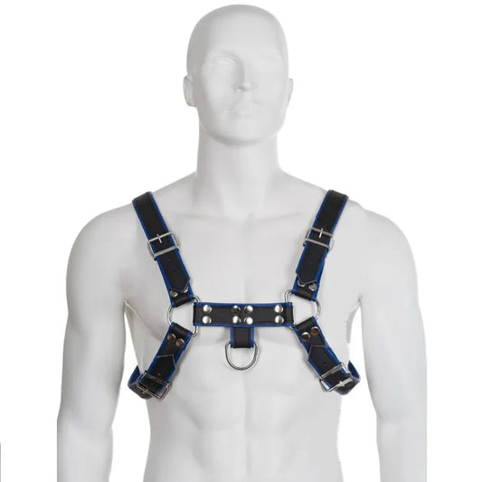 LEATHER BODY - ARNÉS CUERO AZUL Y NEGRO CHEST BULLDOG - Nuvica