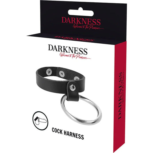 DARKNESS - ANILLO DE METAL PARA EL PENE Y TESTÍCULOS - Nuvica