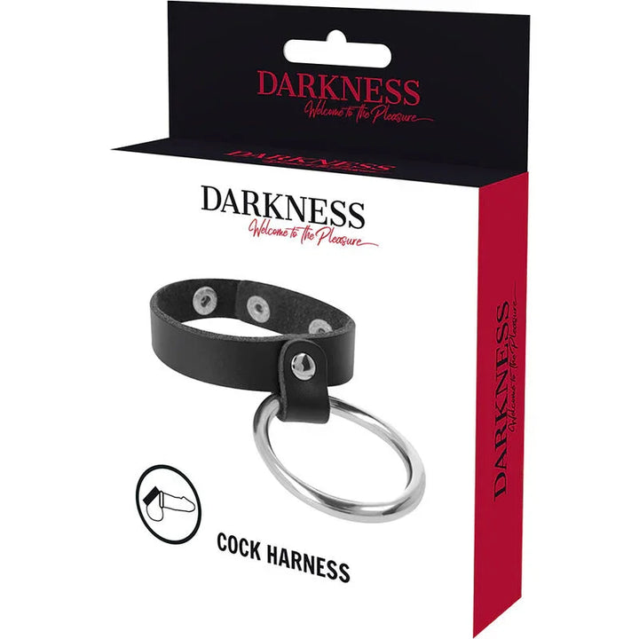 DARKNESS - ANILLO DE METAL PARA EL PENE Y TESTÍCULOS - Nuvica