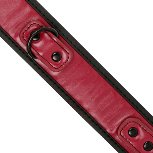 FETISH SUBMISSIVE DARK ROOM - COLLAR CON CADENA CON FORRO DE NEOPRENO - Nuvica